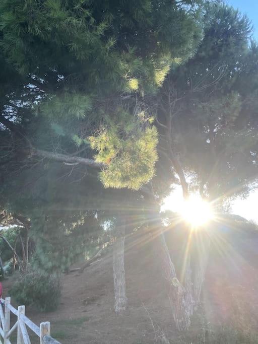 Estupendo Duplex A 5 Min Andando De La Playa Διαμέρισμα Μαρμπέλλα Εξωτερικό φωτογραφία